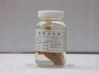 藏品(雲紋石斑魚)的圖片